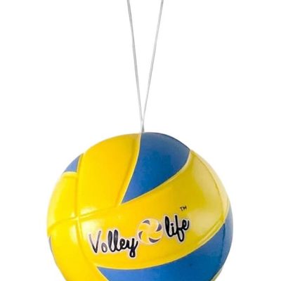 Миниатюра 3