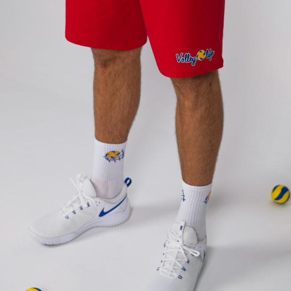 Миниатюра 5