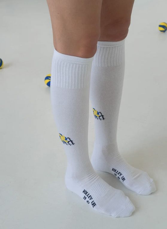 Миниатюра 8