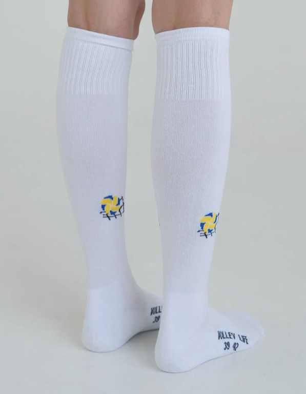 Миниатюра 7