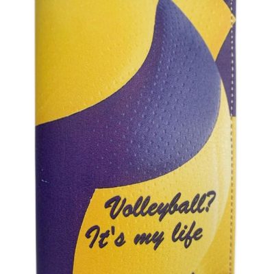 ОБЛОЖКА ДЛЯ ПАСПОРТА "НОВЫЙ МЯЧ"